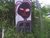 Folk art - i need a job_tiny